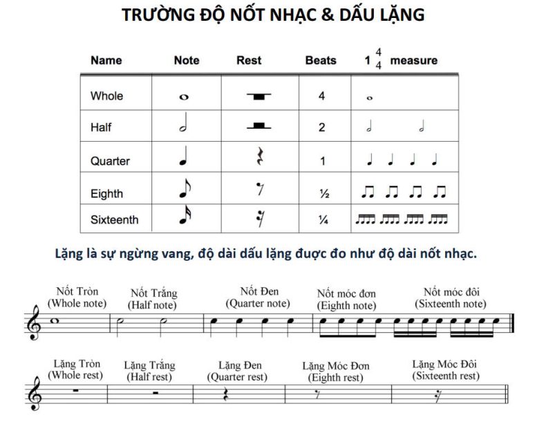 Tiểu sử và Hành trình sự nghiệp ban đầu của Lê Hồng Phúc