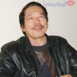 Tổng quan về nhạc sĩ Nghiêm Bá Hồng