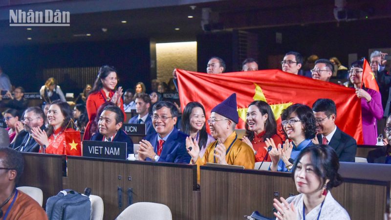 Đóng góp và Di sản Vĩnh cửu trong Lòng Người Hâm mộ