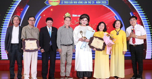 Các Giải Thưởng, Vinh Danh và Đánh Giá Từ Giới Chuyên Môn