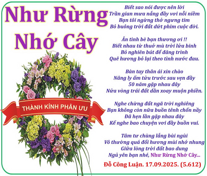 Rừng Xanh Yêu Thương: Khám Phá Ca Khúc Về Tình Yêu Môi Trường