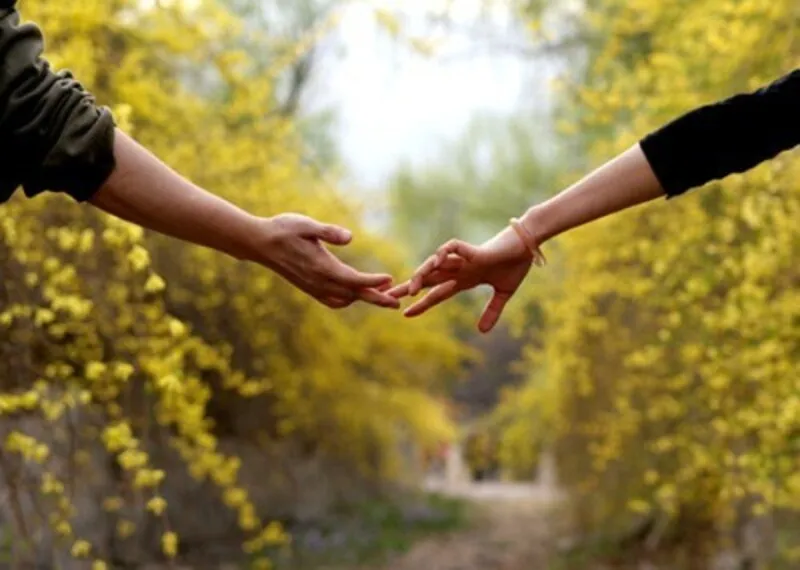 Những bài hát trong đám cưới Nắm Lấy Tay Anh