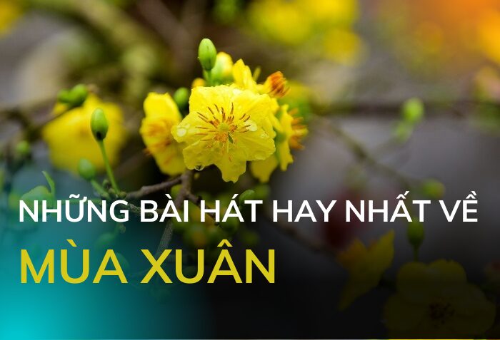 Bài Hát Con Công Nó Múa: Khám Phá Giai Điệu Tuổi Thơ Và Ý Nghĩa Văn Hóa