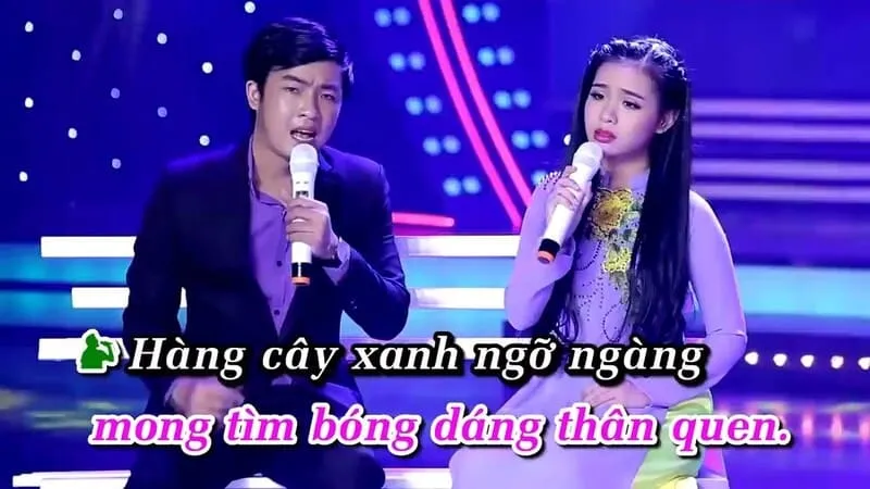 Bộ dàn âm thanh karaoke chuyên nghiệp