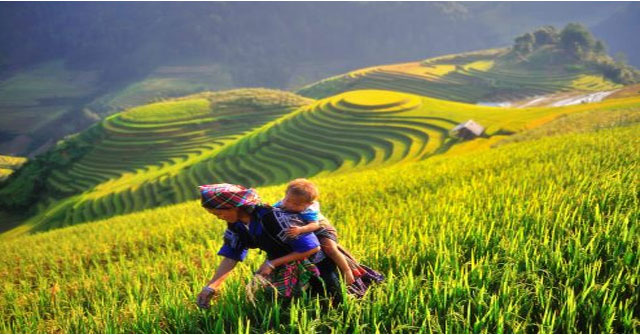 Phân Tích Sâu Sắc "Khúc Hát Ru Trên Lưng Mẹ": Biểu Tượng Tình Yêu và Lòng Yêu Nước