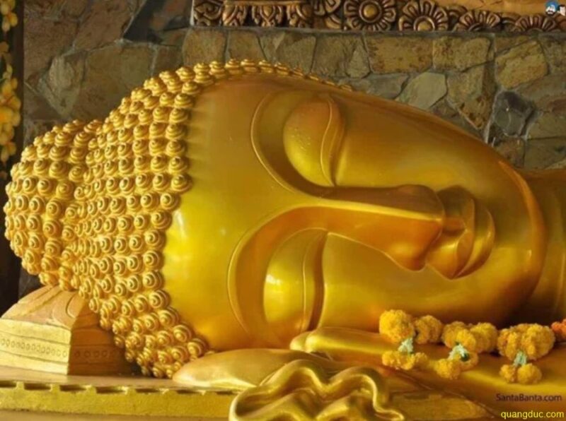 BÀI HÁT SINH HOẠT GIA ĐÌNH PHẬT TỬ: Cẩm Nang Âm Nhạc Phật Giáo Việt Nam
