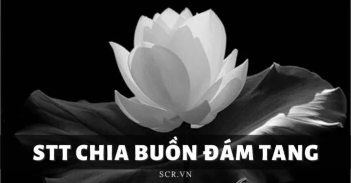 Chia buồn