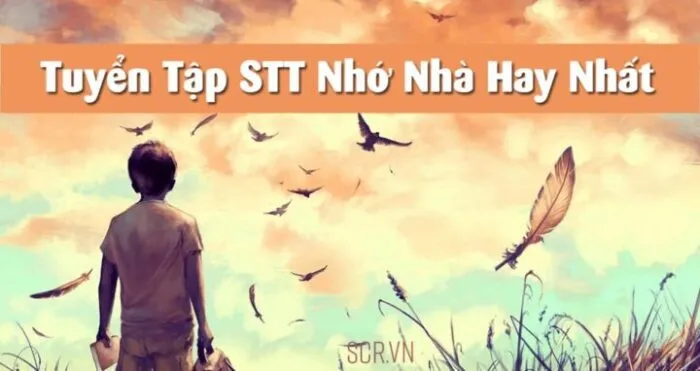 Cô gái nhớ nhà