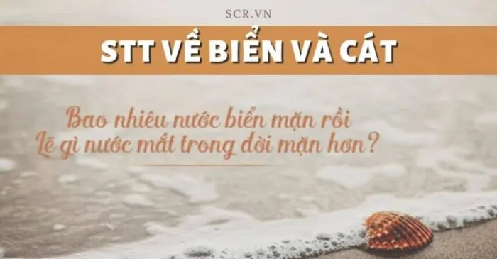 Cặp đôi bên biển