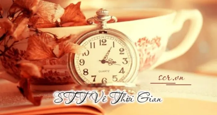 Cây cầu thời gian