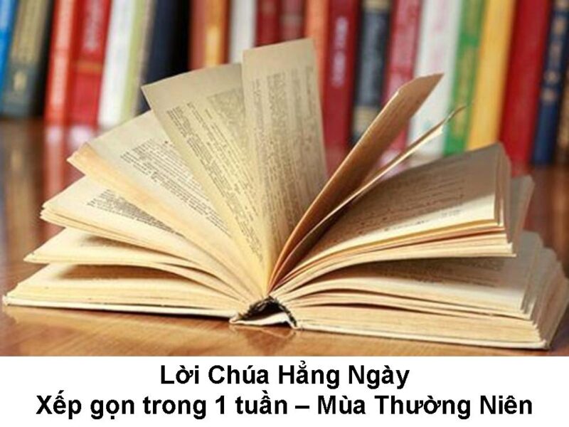 Lời Bài Hát "Đứa Con Hư": Nỗi Lòng Sâu Kín Về Tình Mẫu Tử Và Sự Hy Sinh
