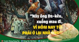 Lời Bài Hát Quà Mùng 8 Tháng 3: Giai Điệu Yêu Thương Dành Cho Phái Đẹp