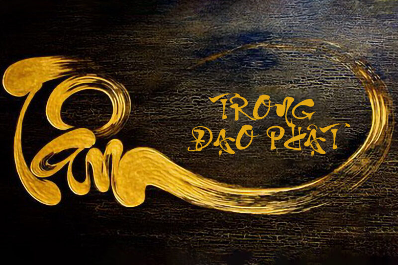 Tìm Hiểu Sâu Về Lời Bài Hát Anh Không Còn Thương
