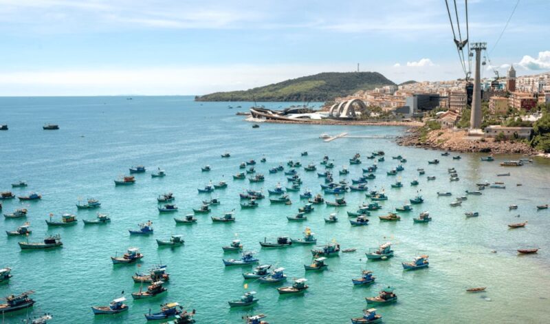 Khám Phá Các Địa Điểm Câu Cá Tra Tự Nhiên Gần TPHCM: Hướng Dẫn Toàn Diện Cho Cần Thủ