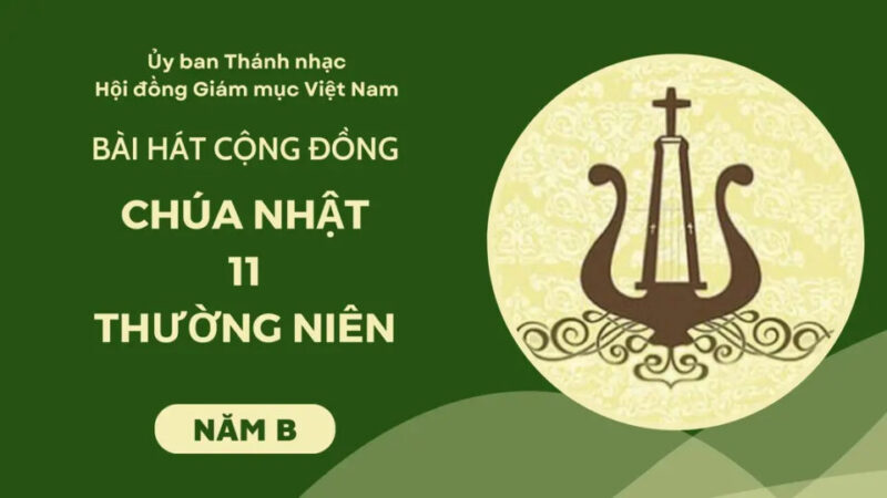 Bài Hát Chủ Đề Bác Sĩ: Giai Điệu Yêu Thương Dành Cho Mầm Non