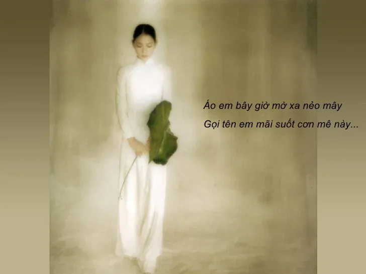 Ý nghĩa của ca khúc Hạ Trắng (Trịnh Công Sơn) – Một giấc mơ đời hư ảo