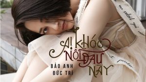 Ai Khóc Nỗi Đau Này - Bảo Anh