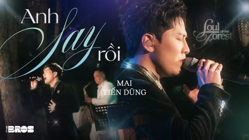 Anh Say Rồi - Mai Tiến Dũng