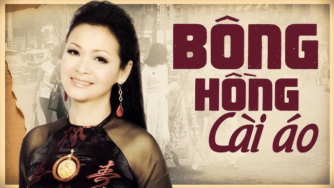 Bông hồng cài áo - Khánh Ly