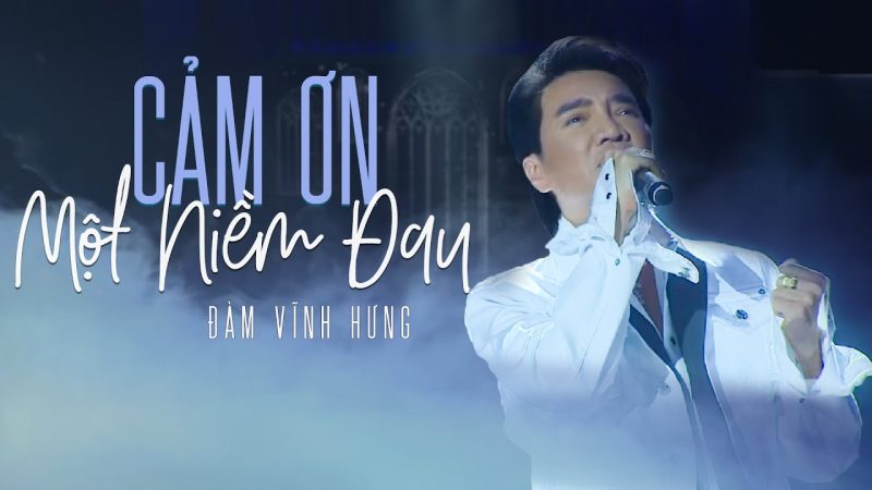 Cảm ơn một niềm đau - Đàm Vĩnh Hưng