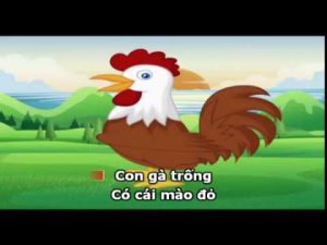 Con gà trống - Không xác định