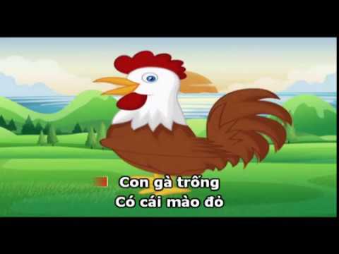 Con gà trống - Không xác định