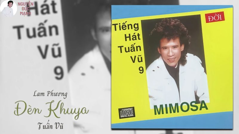 Đèn Khuya - Tuấn Vũ