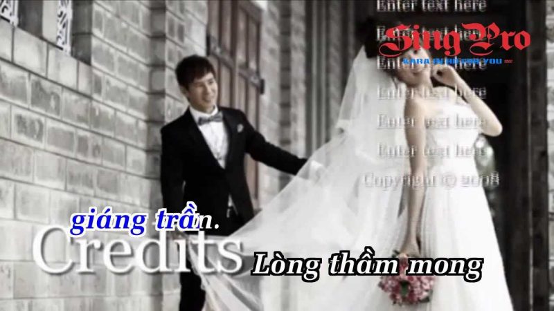 Dệt Mộng Uyên Ương - Lý Hải