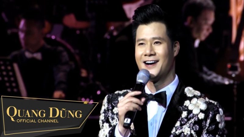 Đời Có Bao Nhiêu Ngày Vui - Quang Dũng