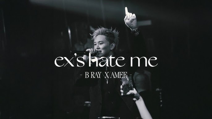 Ex - AMEE x B Ray