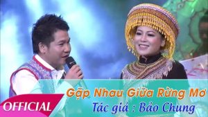 Gặp Nhau Giữa Rừng Mơ - Anh Thơ