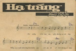 Hạ trắng - Trịnh Công Sơn