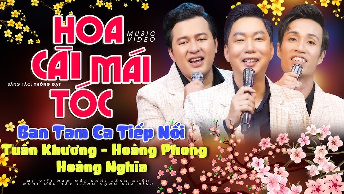 Hoa Cài Mái Tóc - Tuấn Khương