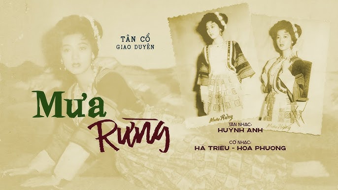 Mưa rừng - Thanh Nga