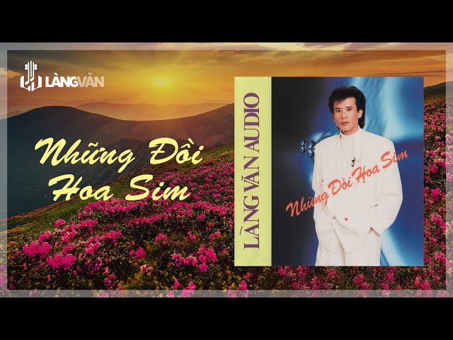 Những Đồi Hoa Sim - Tuấn Vũ