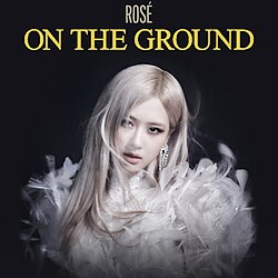 On the Ground - Rosé