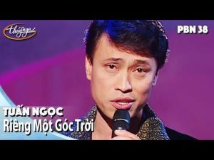 Riêng Một Góc Trời - Tuấn Ngọc