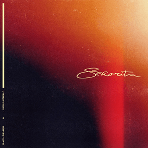 Señorita - Shawn Mendes
