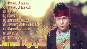 Tình Như Lá Bay Xa - Jimmii Nguyễn