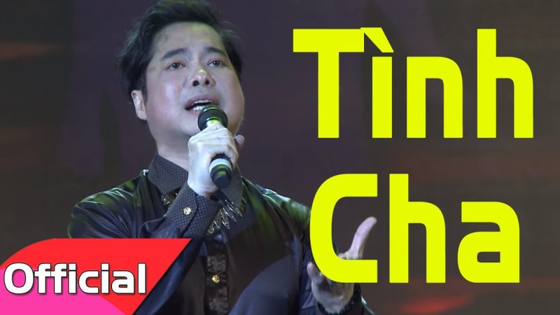 Tình cha - Ngọc Sơn