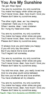 You Are My Sunshine - Christina Perri
