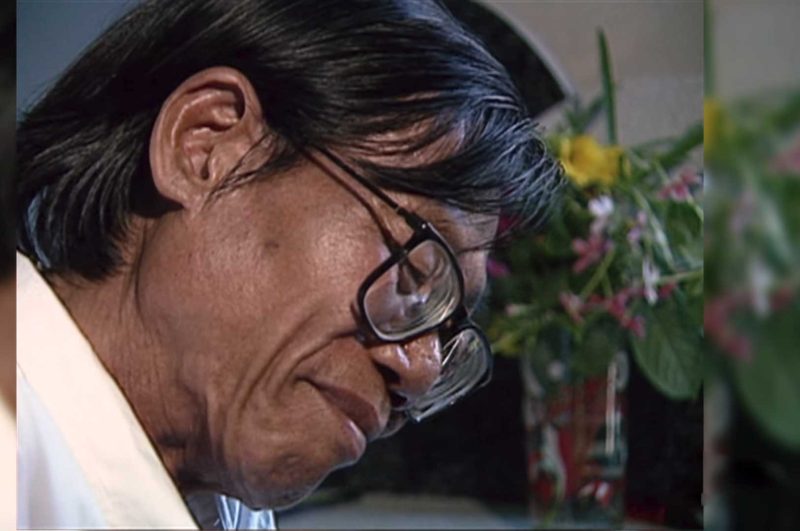 nhac si truc phuong - Hình 3