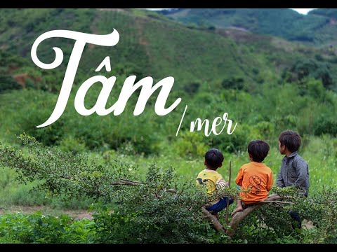 tâm - MER