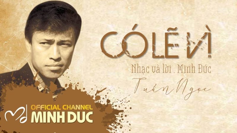 Có lẽ vì - Tuấn Ngọc