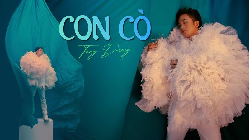 Con cò - Tùng Dương