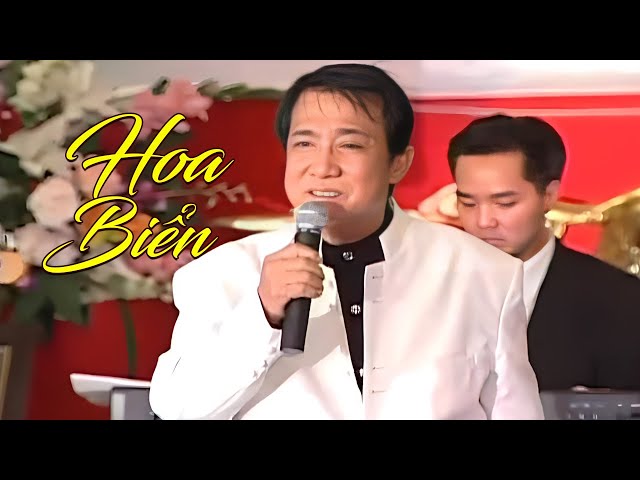 Hoa Biển - Nhật Trường