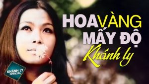 Hoa vàng mấy độ - Khánh Ly
