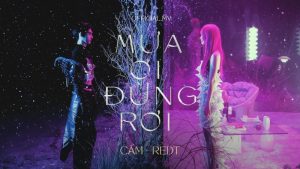 Mưa Ơi Đừng Rơi - Cầm