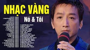 Nó và tôi - Trường Vũ