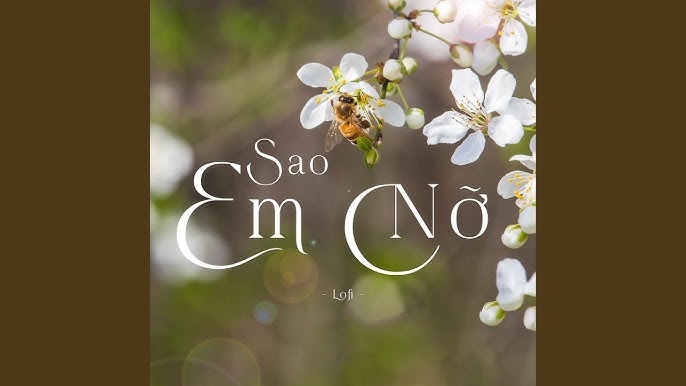 Sao Em Nỡ (Lofi) - JayKii